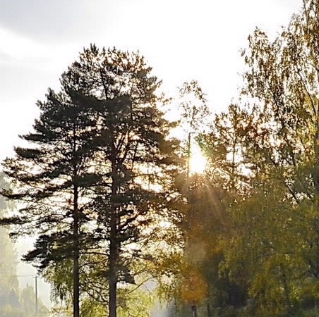 厄运心灵之流好用吗