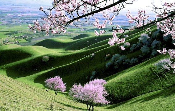丁丁旅游 成都