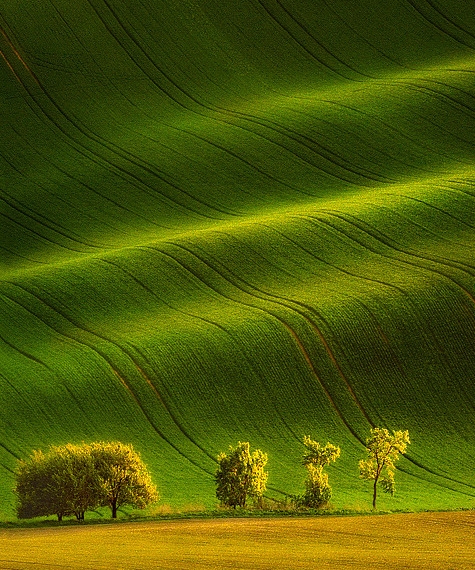 成都院子文化创意园区