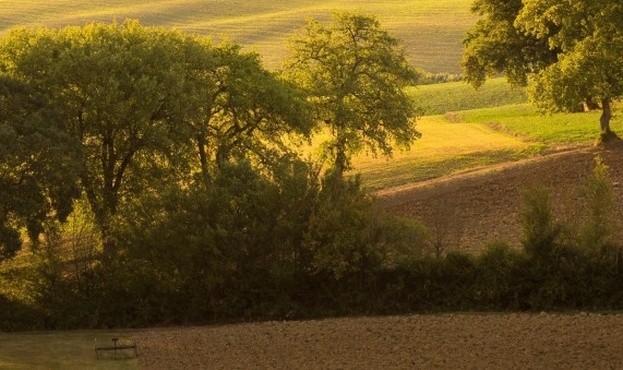 全国各大景点创意雪糕
