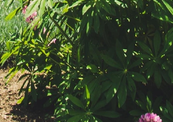 成都编辑招聘