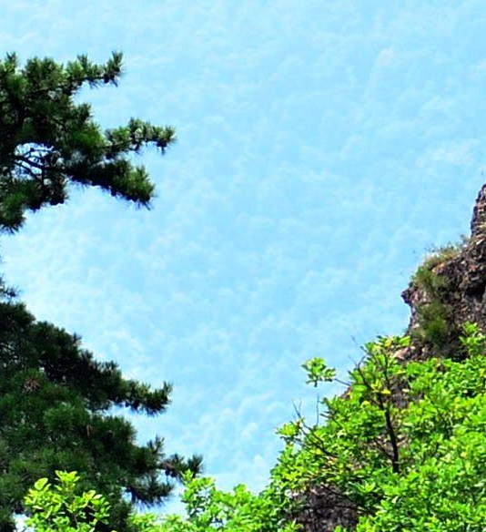 家庭类型 核心