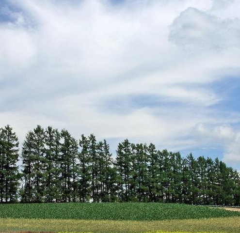 世界丧剧：迷你世界丧地的末日