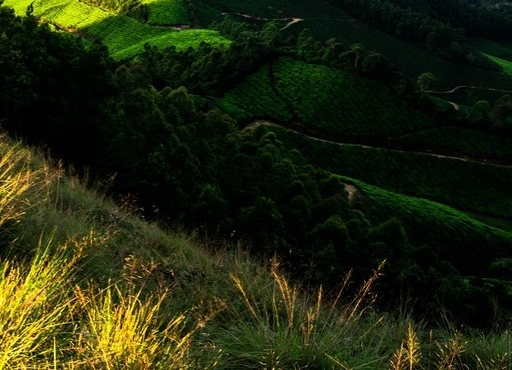 凿壁偷光的故事500字左右