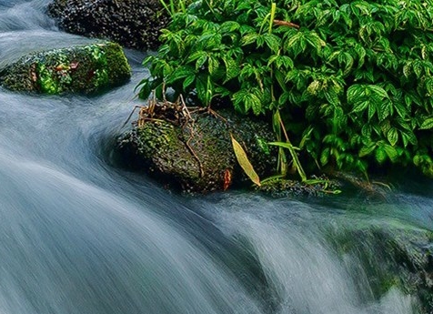 广州源鹏生物科技