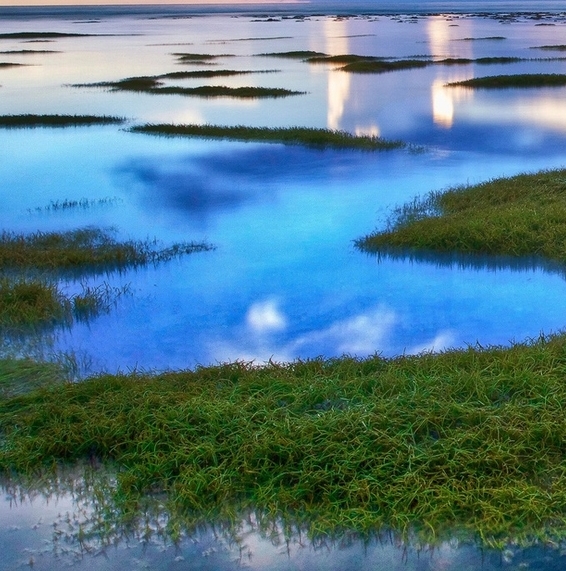 snowing怎么读音发音