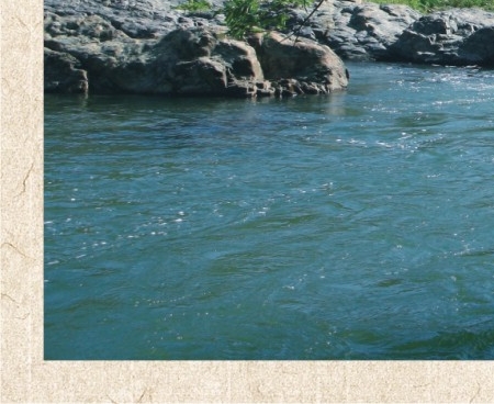 米利唐踢什么位置