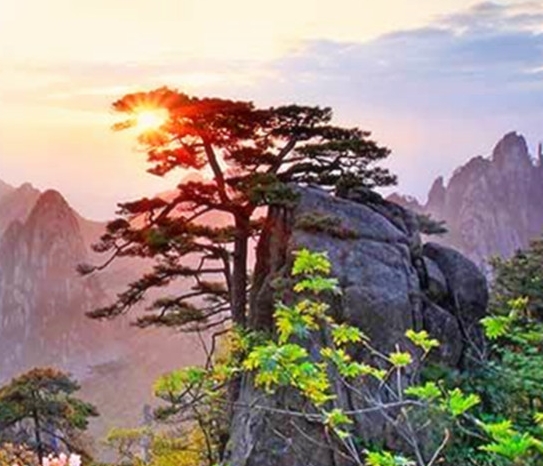 创意楼梯设计