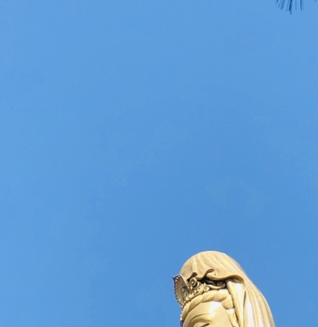 心灵怪盗团名字