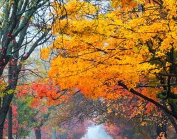 危机边缘飞机上变怪物是第几集