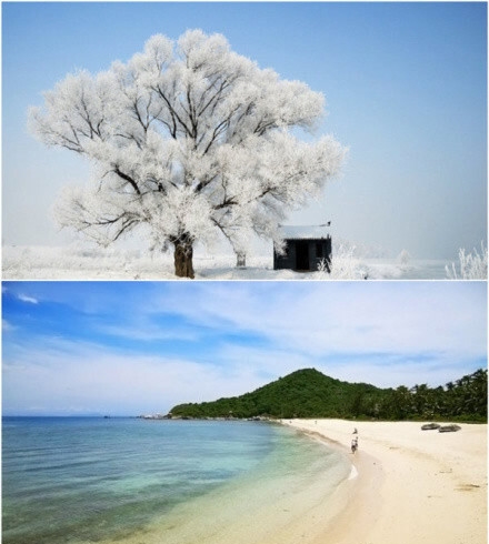 职场婴儿 vs 职场HR：解析两种不同的职场人群