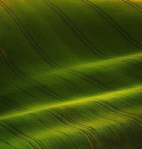 怎样订火车票最快