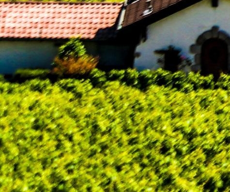 凹凸世界10岁孩子能看吗