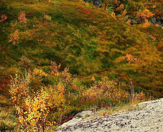 迷你世界新世界