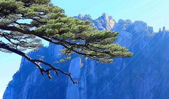 湿地是什么