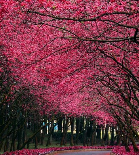 世界之外写的小说