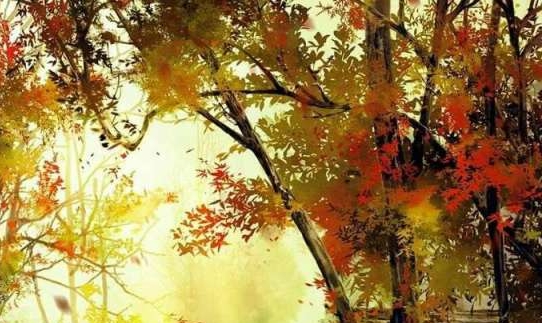创意蛋糕女士生日