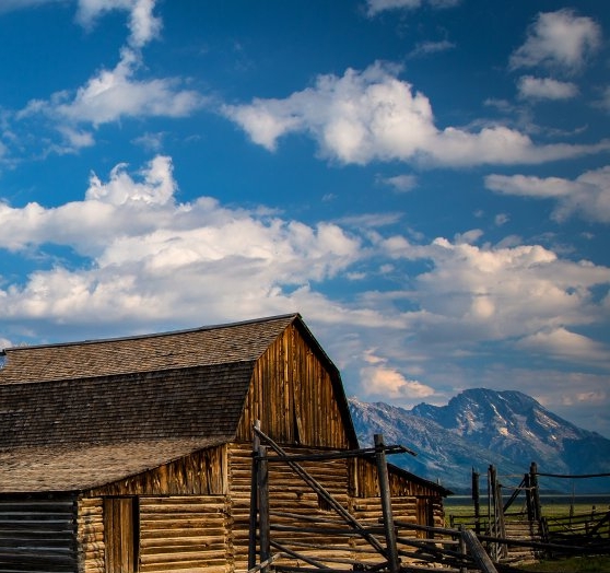 好想告诉你第2季免费观看