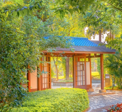 创意手绘图集：野餐、垃圾桶、水杯，让生活更有趣！