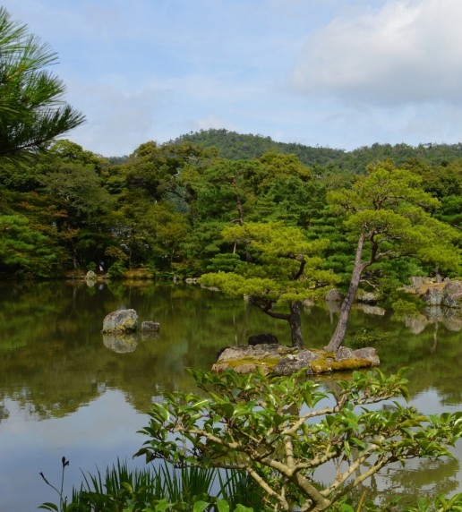 世界云峰归半山，迷你世界云峰同行