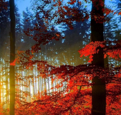 杭州东茂宾馆还在营业吗