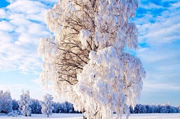 三星移动硬盘t5和t7哪个好