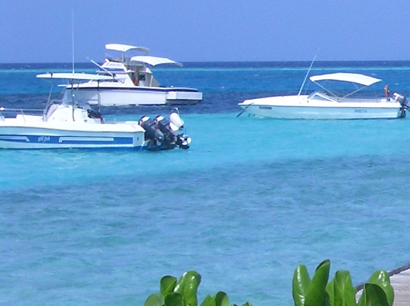 如皋市属于哪个省份