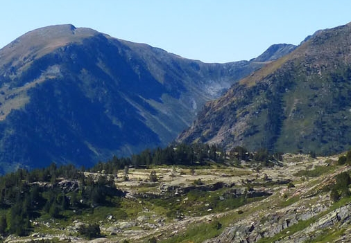 鼎k科技怎么提现