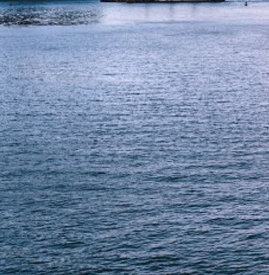 大家都在讨论的科技牛油和科技牛油果