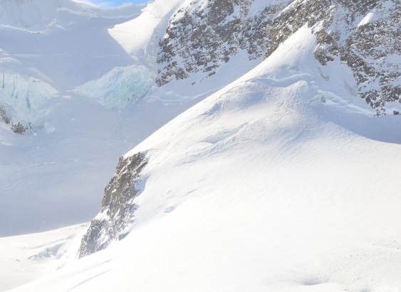 心灵病院系列恐怖游戏