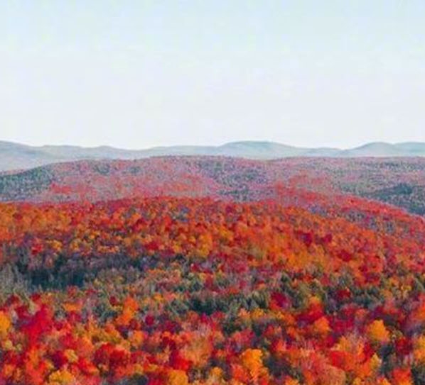 清涧县属于哪个市