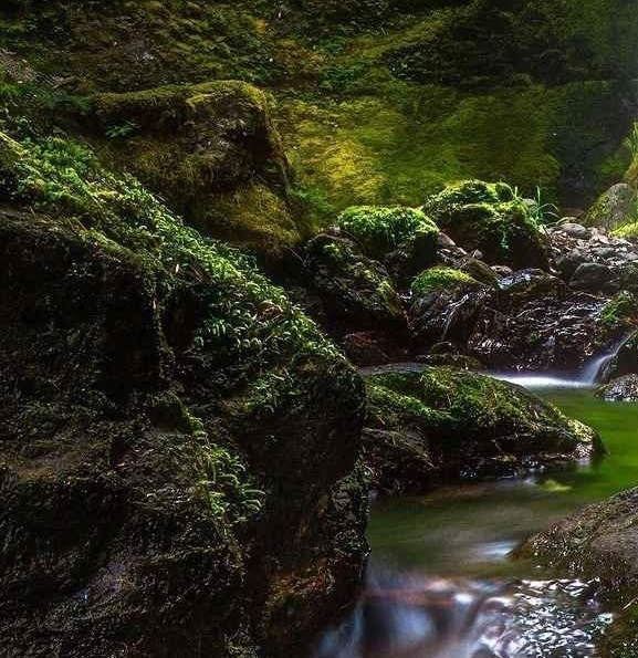 足球中场是核心吗