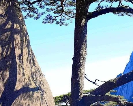 海美迪官网：探索科技美学，海美迪官网论坛：共享智慧生活