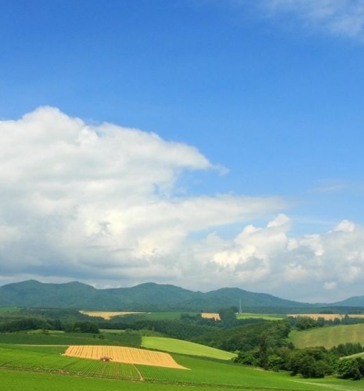 绿地缤纷城，地铁站直达