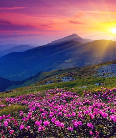 台湾和韩国人口数量