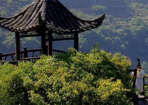 六道杂谈避开B站掉粉榜，粉丝数稳居前列