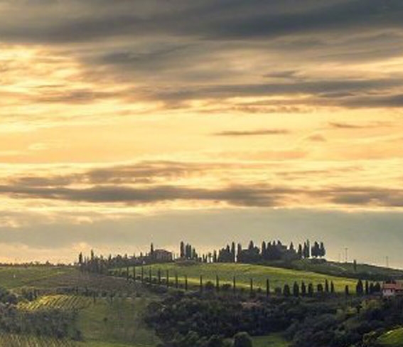 电商代运营电商