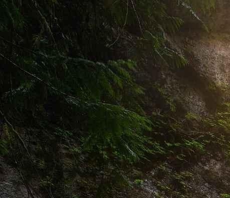 南京蔬菜配送公司