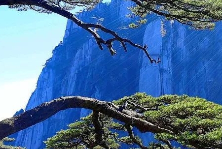 老王说日常
