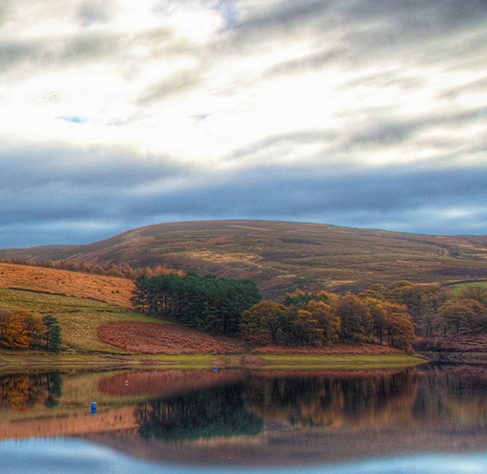 从前慢茶叶是什么茶