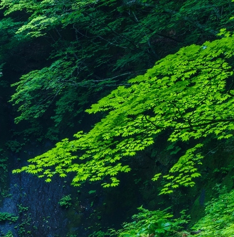 电芯是电池的核心吗