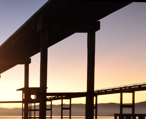 史莱姆牧场测试服