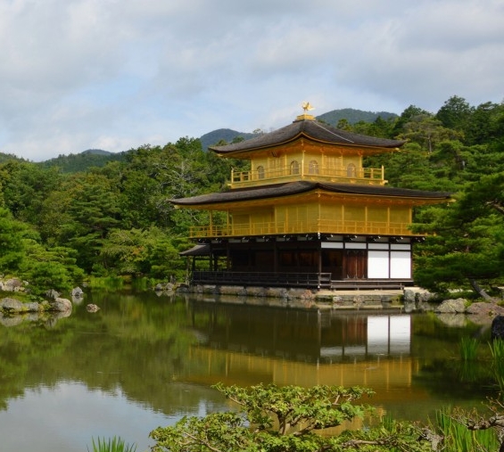 逸仙电商公司股票