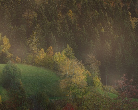 越南盾人民币汇率是多少