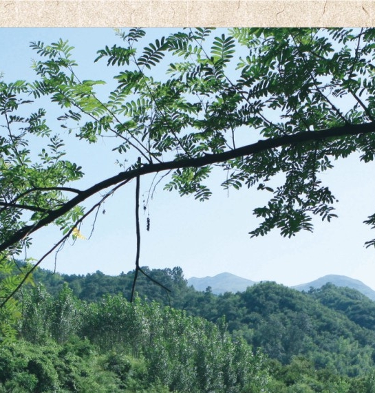 职场可以穿卫衣吗