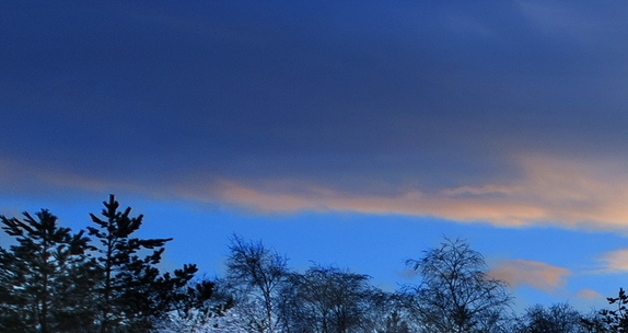 盛世芳华世界等级