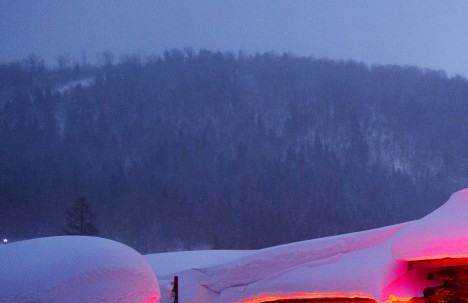 哈尔滨启德电商