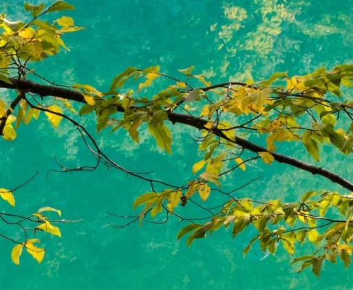 壹柒柒网络科技有限公司