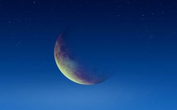黑子信息科技