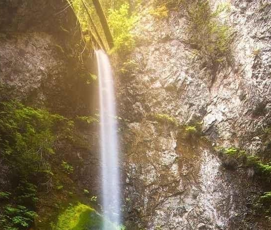 核心力量板与平衡板，双重锻炼打造强韧核心